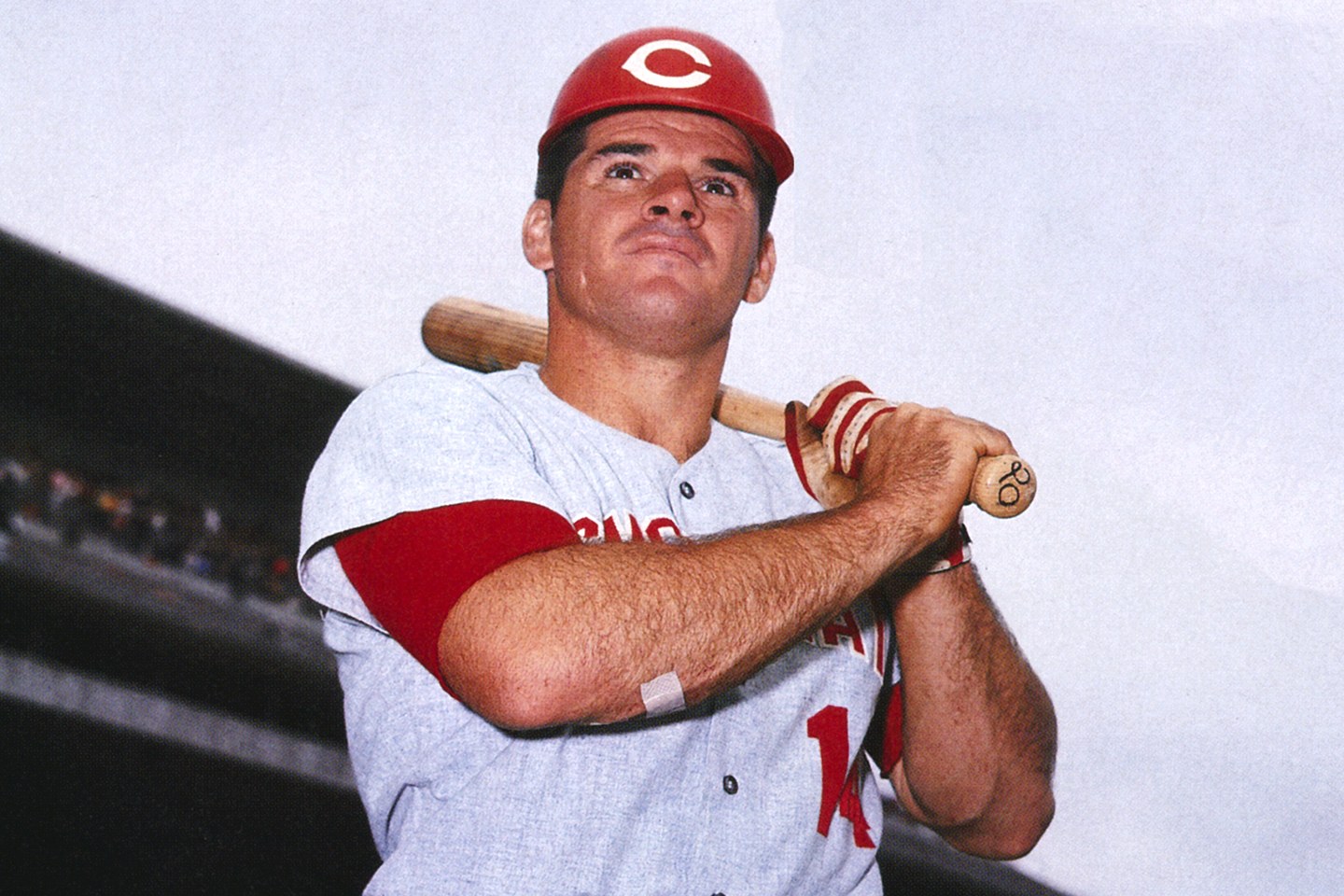 Where's Pete Rose today? Wiki Wife, Net Worth, Career, Son, Married, Kids